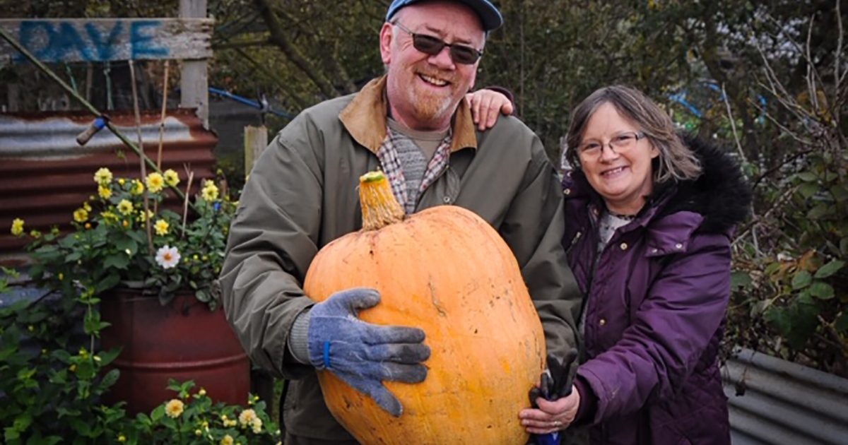 Allotment holder grows whopper of a pumpkin