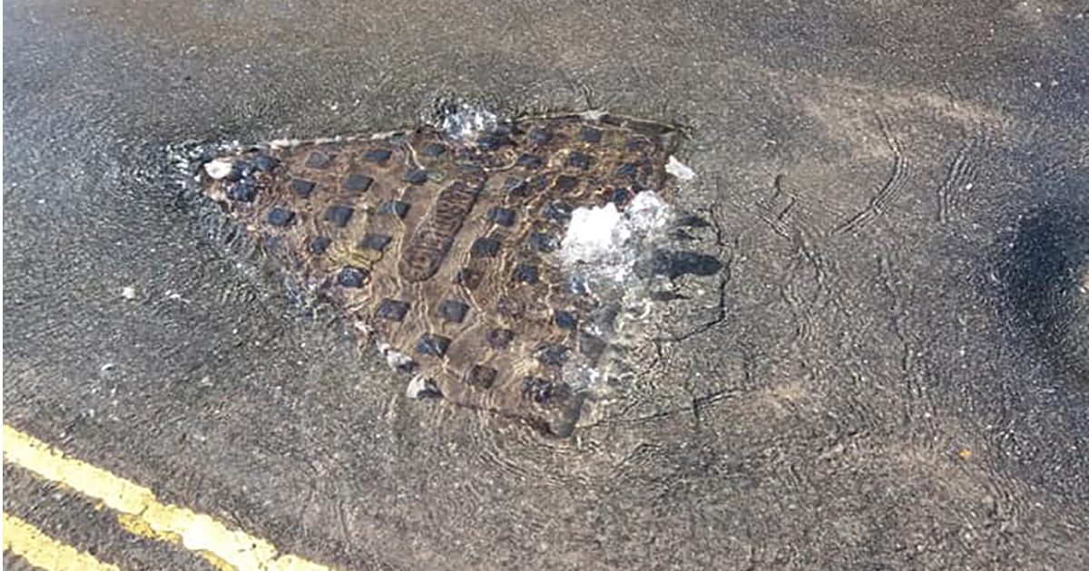 Raw sewage runs down the streets of north coast villages