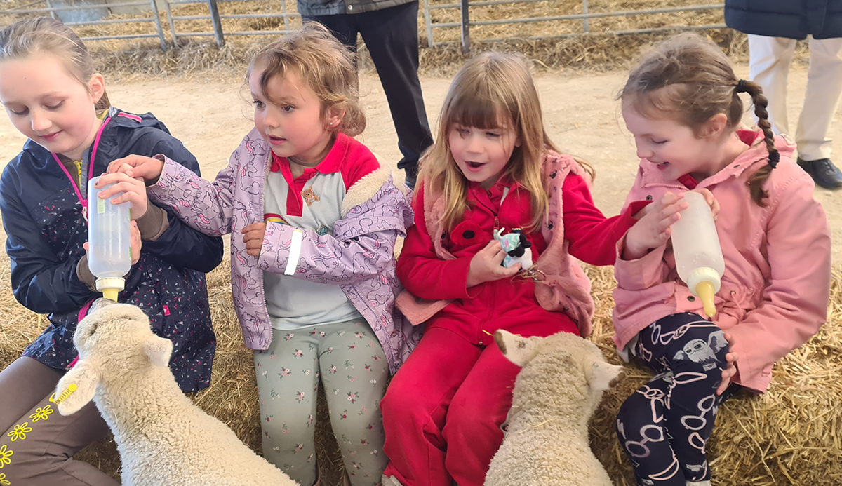 Down on the farm with Brownies and Rainbows