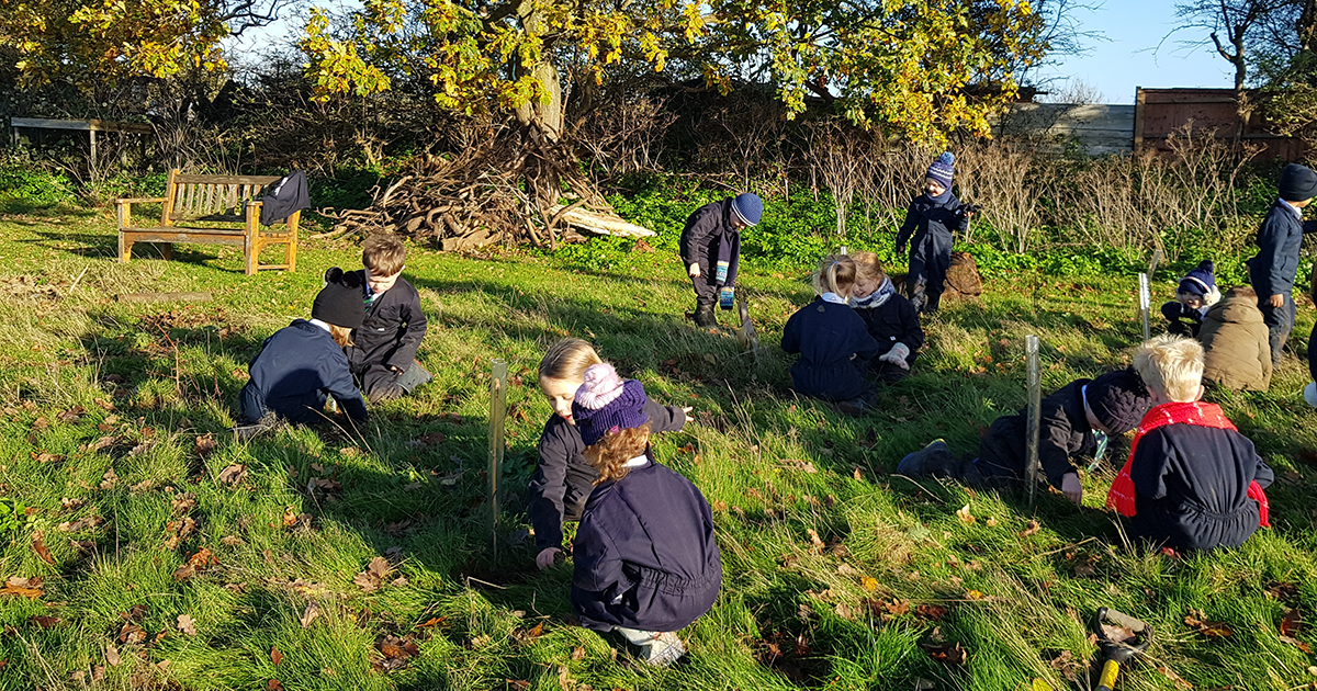 Young pupils at Glebe House School add to the Queen’s Green Canopy