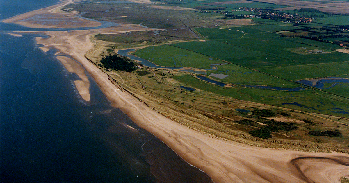 Consultation on access for dogs to 6km stretch of beach