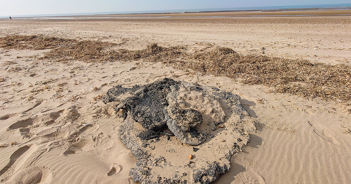 Teams in West Norfolk recover almost a million plastic nurdles