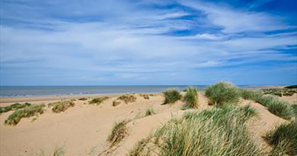 Norfolk Wildlife Trust Holme Beaches access for dogs consultation