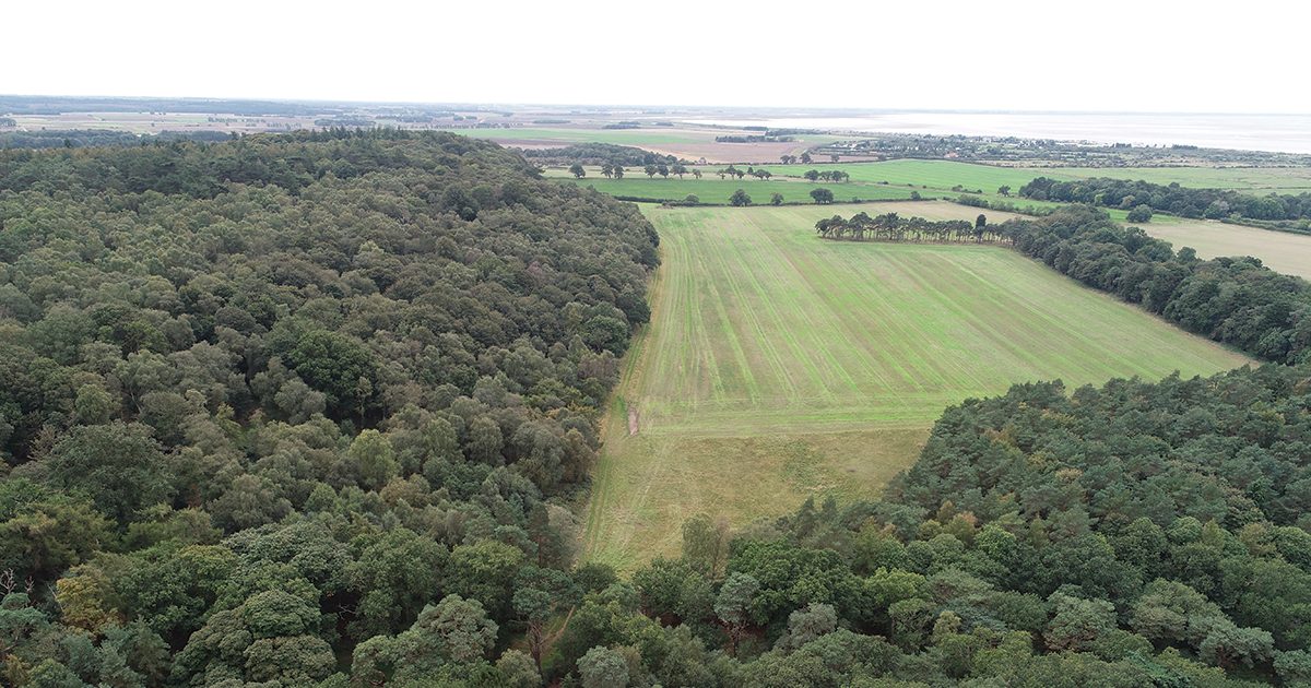 Last chance to express interest for rural business growth grants