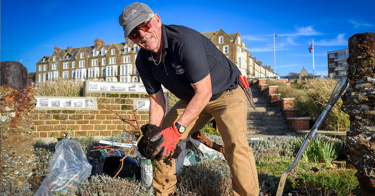‘With Courage’ rose will bloom for Hunstanton RNLI