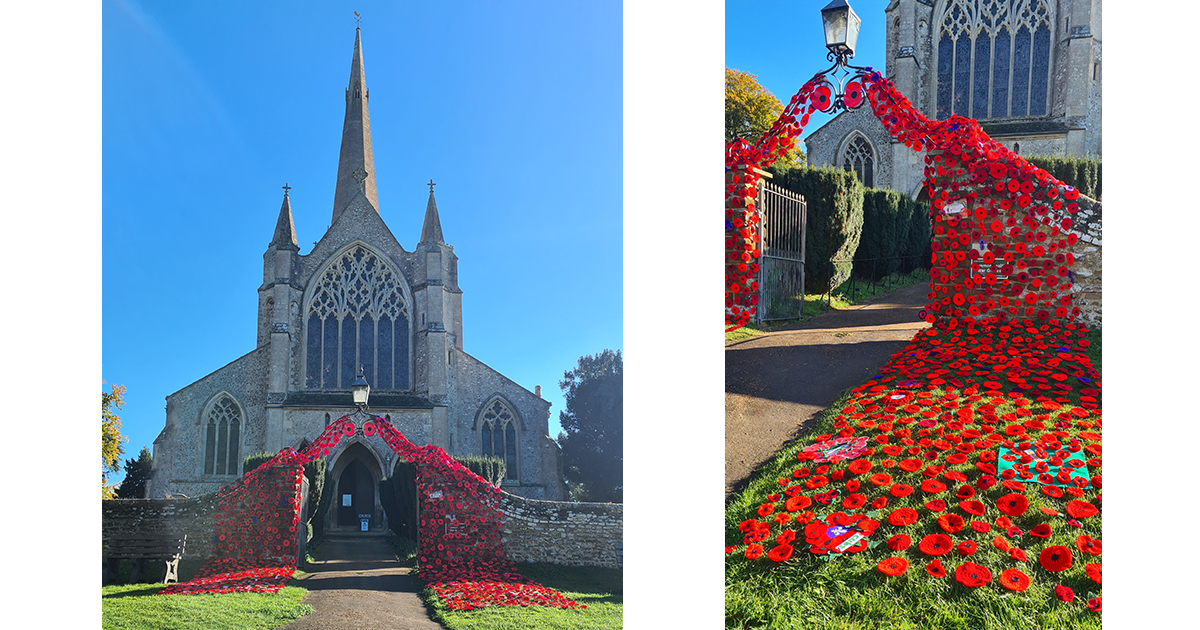 Awash with Poppies