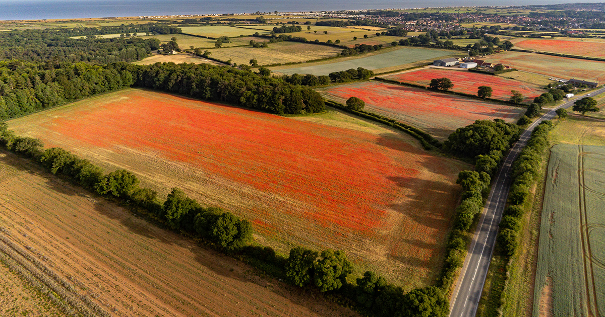 Capital grants available to support the rural areas in West Norfolk