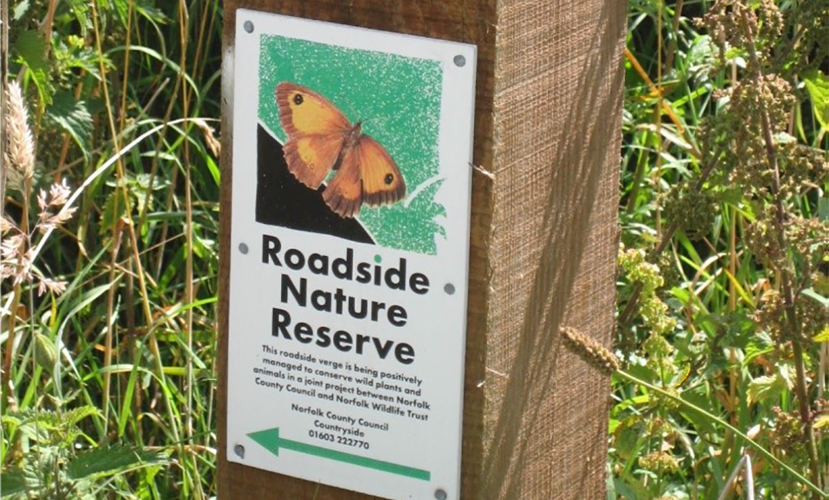 Buzz created as pollinator paradises set for Norfolk roadsides