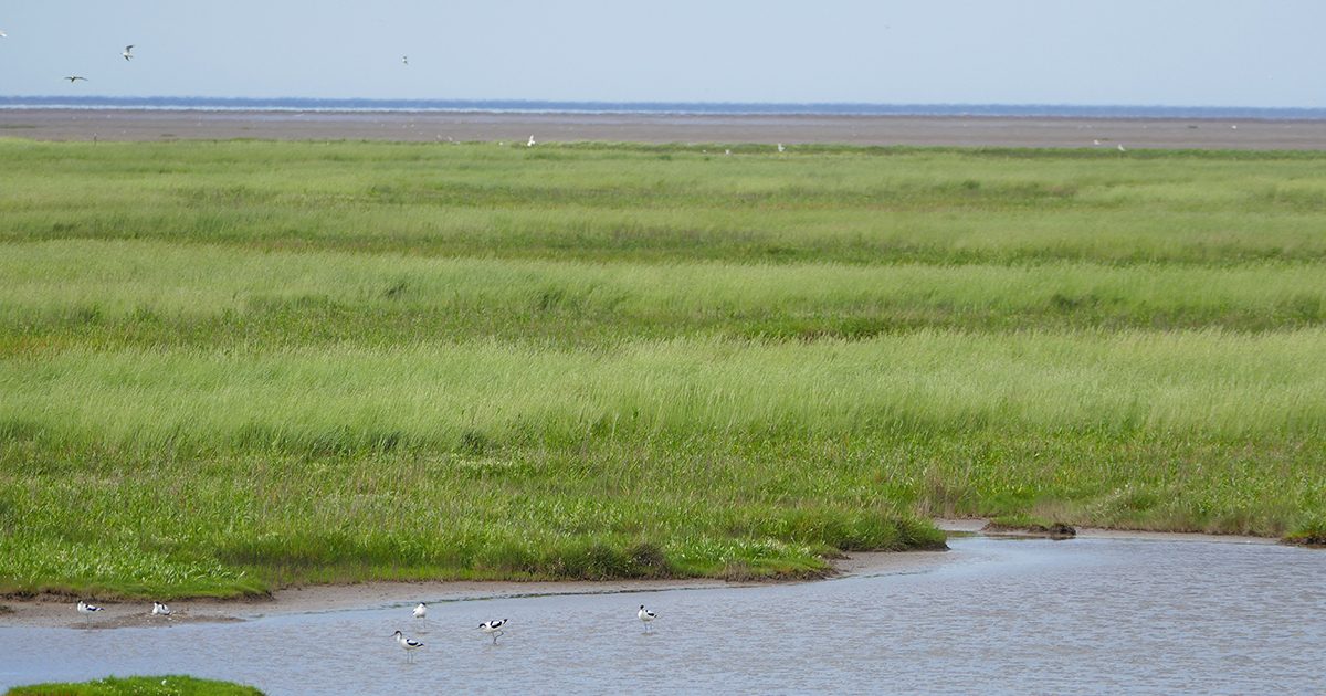 England Coast Path: Proposals published for fourth stretch in Norfolk and third in Lincolnshire