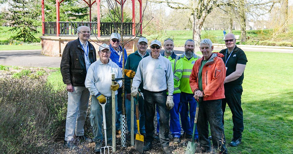 Tree-mendous planting in King’s Lynn