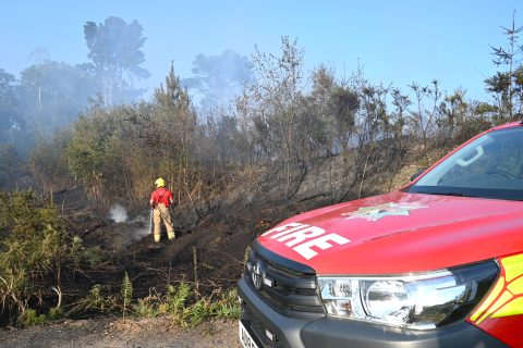 Fire crews tackle 5 wildfires in just 24 hours