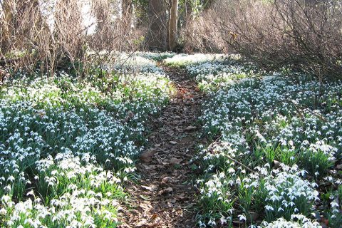 Does your garden have the wow factor?