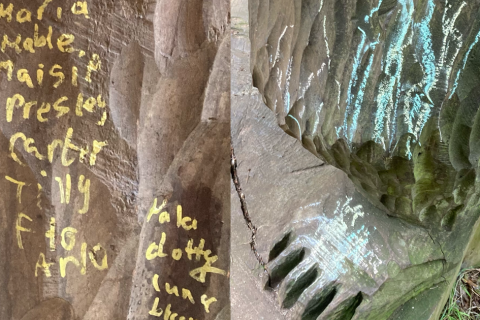 Sandringham bear, that was graffitied on, will be restored to all its glory