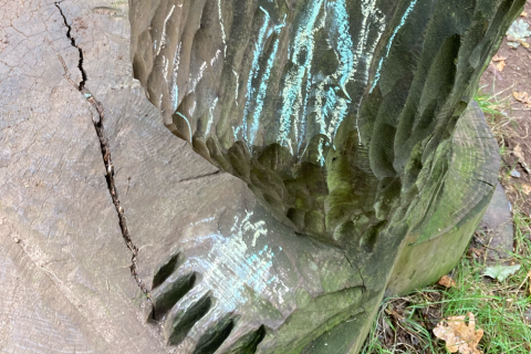 Sandringham bear graffitied and drawn on