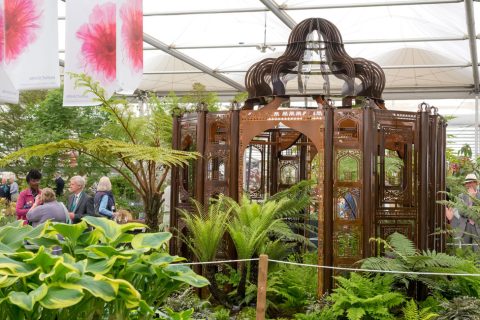 Winning Gold at the RHS Chelsea Flower Show