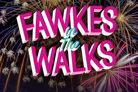 Fawkes in the Walks 2023 postponed