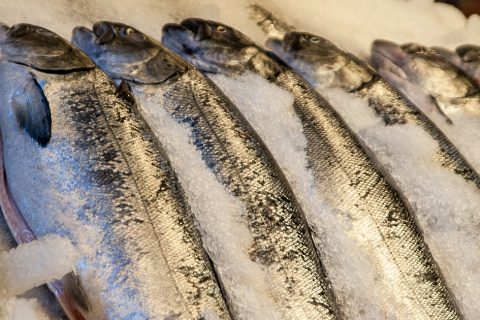 Rogue Trader Alert - Door to door fish seller in Snettisham