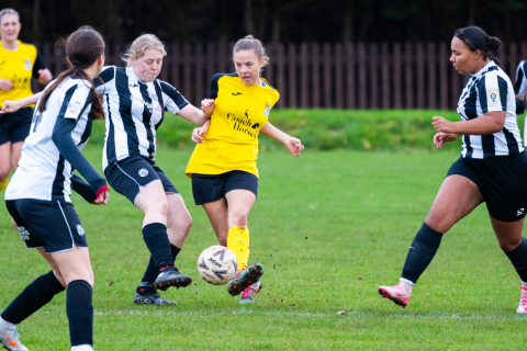 Sports Report - W/E 8th & 9th November