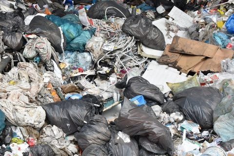 Decrease in fly-tipping in West Norfolk