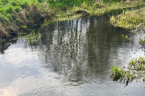 Protecting our Chalk Streams