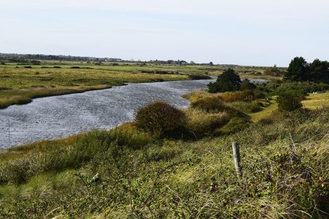 Local enterprises invited to free nature-focused, innovative workshops