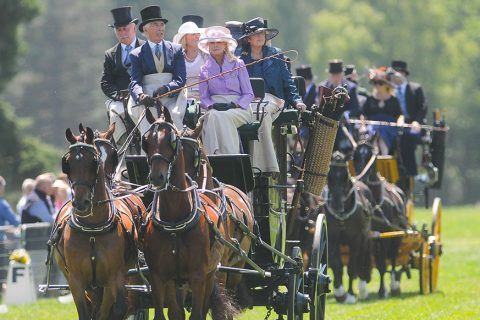 A weekend at the Sandringham Horse Driving Trials