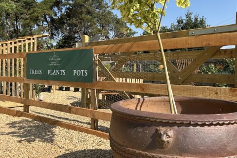 Branching out with Royal approval