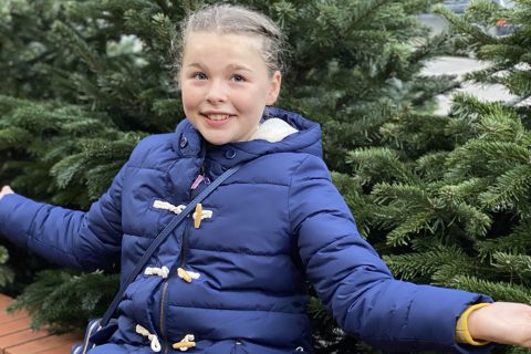 It's time to choose your Christmas Tree!