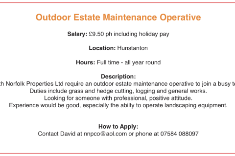Job Opportunity