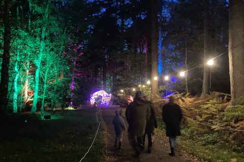 The magic of Luminate