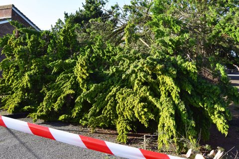 Storm Dennis to pay a visit this weekend