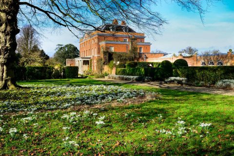 Guided Snowdrop Walk at Raveningham Hall