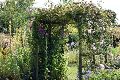 Ringstead Open Gardens