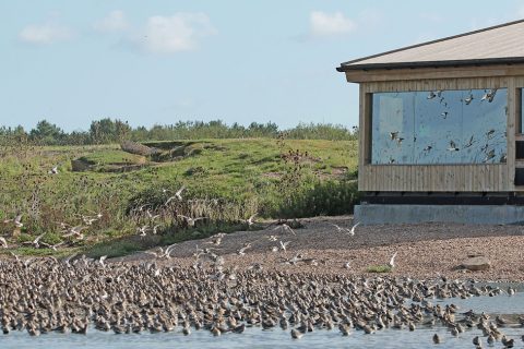 Knot's Landing, Snettisham - a virtual opening ceremony