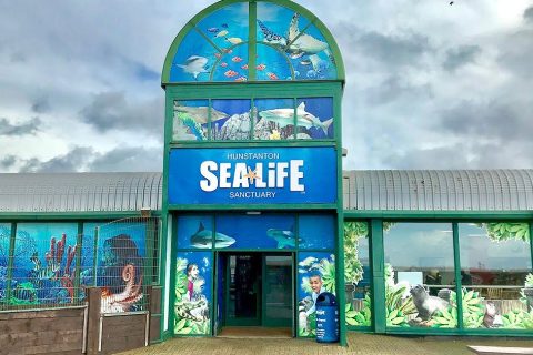 Sea Life Hunstanton will reopen to visitors on 4th July