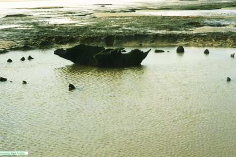 Twenty years on from the excavation of Seahenge