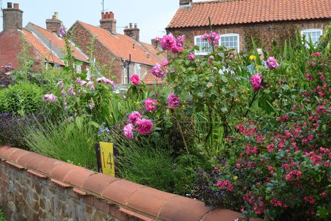 Snettisham Open Gardens