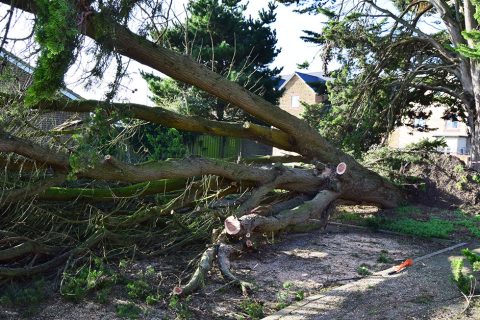 Storm Ciara wreaks havoc in Hunstanton