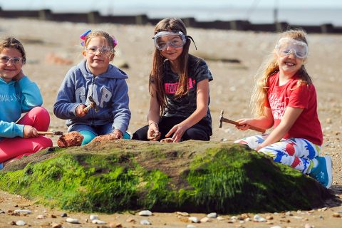 Family fossil fun