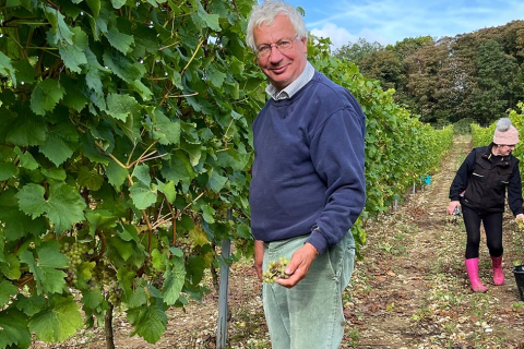 West Norfolk Winery Cobble Hill wins the 2022 Wines of Great Britain Gold Medal with its Sparkling Rosé