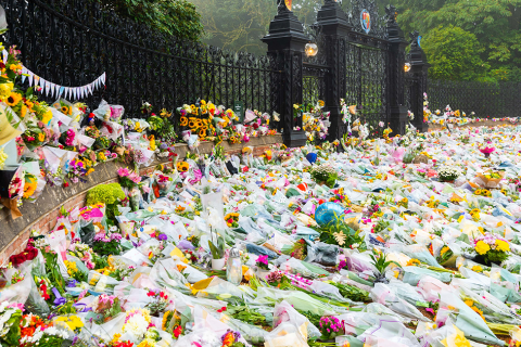 A sea of flowers at Sandringham