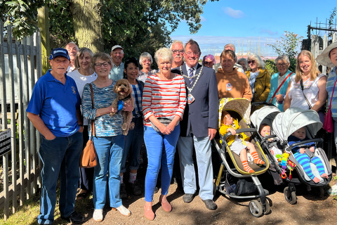 Peas and quiet at Northfields Allotments