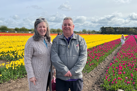 Tulip fields open for Norfolk Hospice