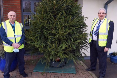 Be green and recycle your Christmas tree to help The Norfolk Hospice