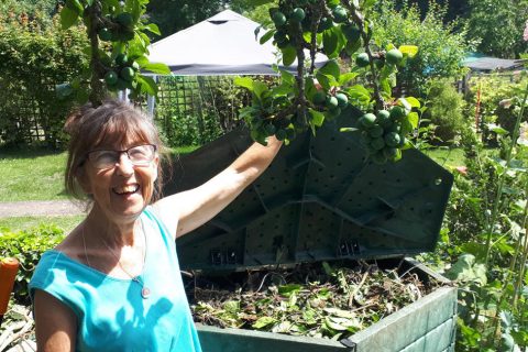 Norfolk’s composting special offer set to cut 225 tonnes of waste