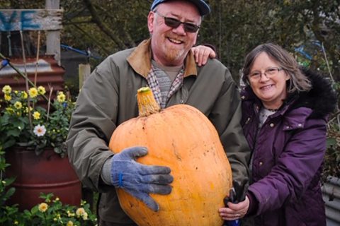 Allotment holder grows whopper of a pumpkin
