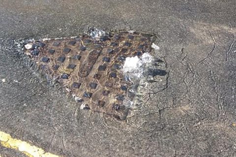 Raw sewage runs down the streets of north coast villages