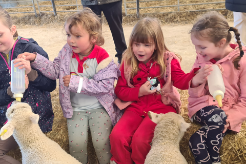 Down on the farm with Brownies and Rainbows