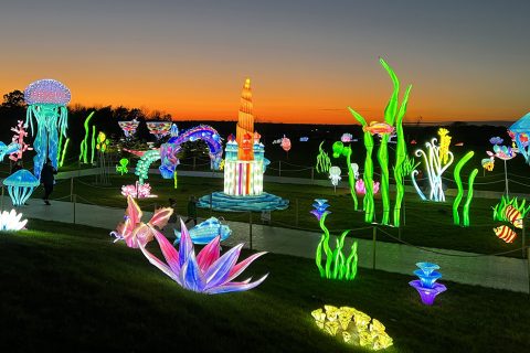 Thursford - Enchanted Journey of Light