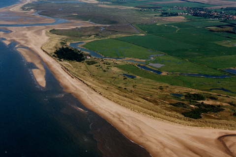 Consultation on access for dogs to 6km stretch of beach